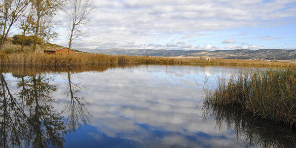 Microrreserva del Complejo lagunar del RÃo Moscas